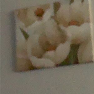 Meet your Posher, Karla